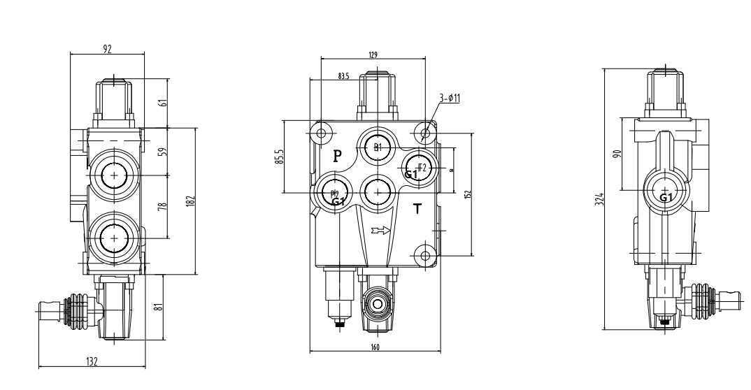 Hydraulic Cylinder With Control Unit P120-G1 Monoblock Directional Valve | Precision Hydraulics drawing image