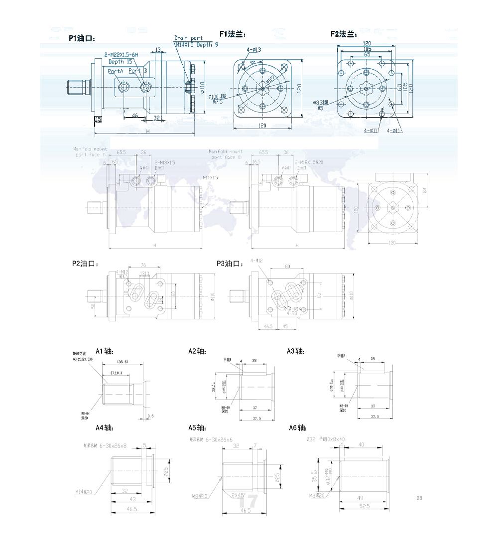 BM3_Cycloid Hydraulic Motor 100 cc/r 50 Lpm Hydraulic Motor drawing image
