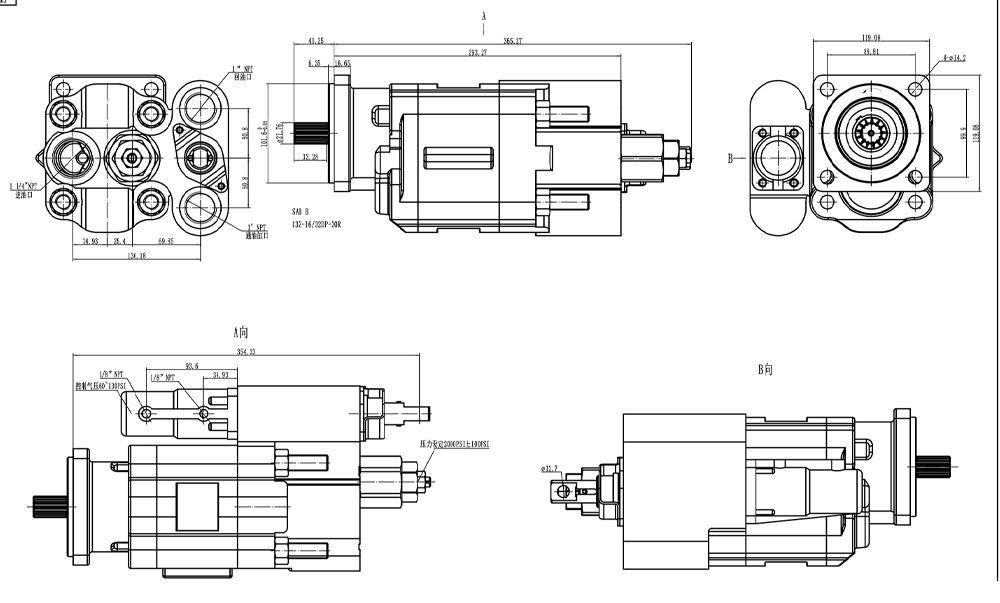 C102 100 cc/rev 20 MPa (2900 psi) Hydraulic Gear Pump drawing image