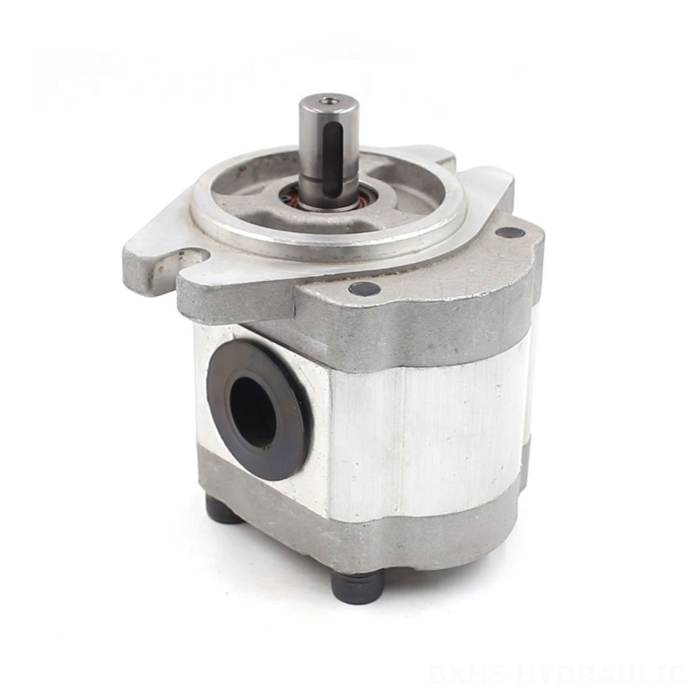 CBHS-FL-306 6 cc/rev  Hydraulic Gear Pump image