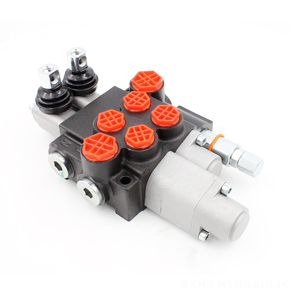 P40-AQF-G38-G12 Manual 2 Spool Monoblock Directional Valve cover photo