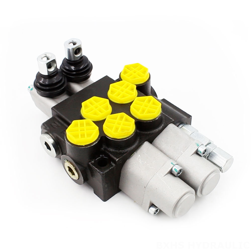 P40-G12-2OT Manual 2 Spool Monoblock Directional Valve cover photo