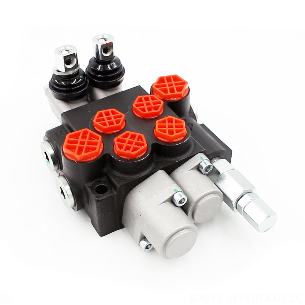 P40-G12-G38-OT-QTW Manual 2 Spool Monoblock Directional Valve cover photo