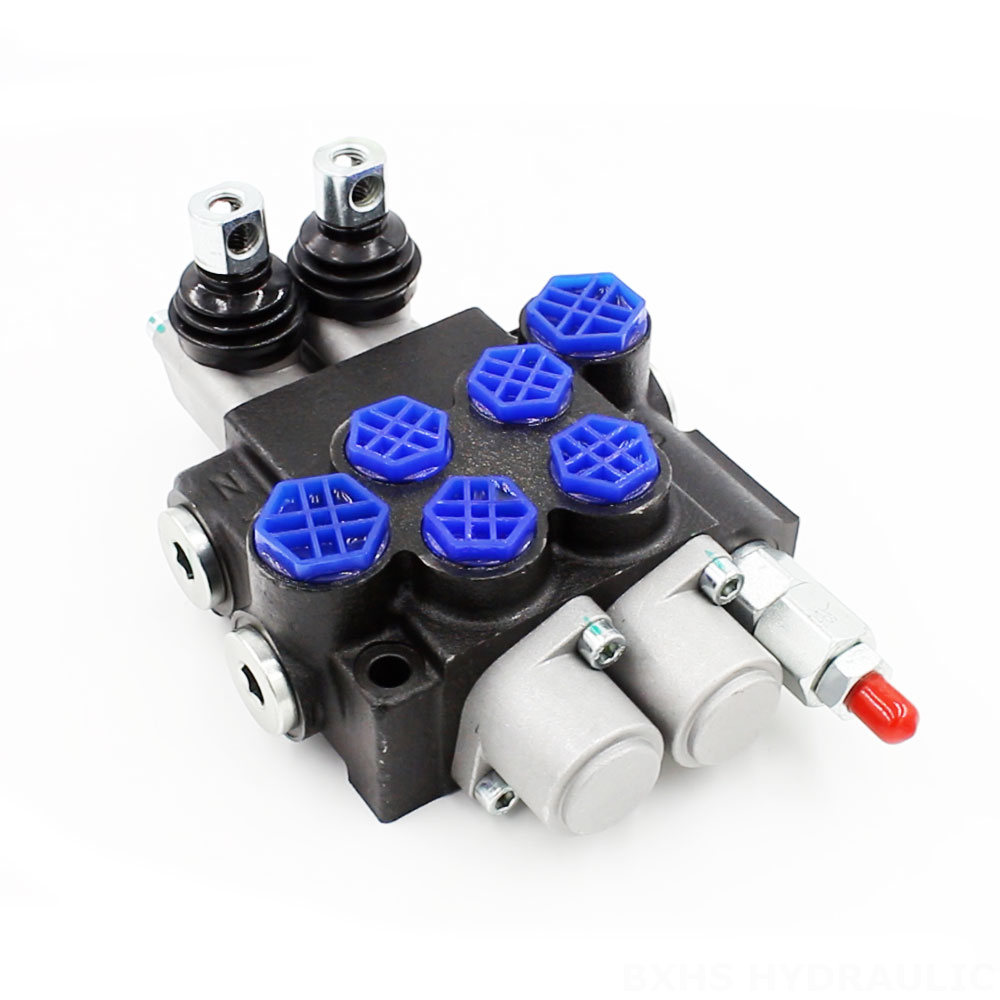 P40-G12-G38-OT Manual 2 Spool Monoblock Directional Valve cover photo