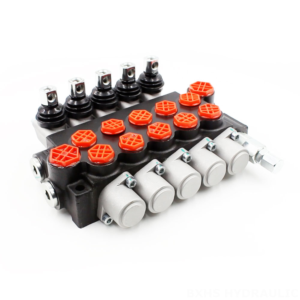 P40-G12-G38 Manual 5 Spool Monoblock Directional Valve image