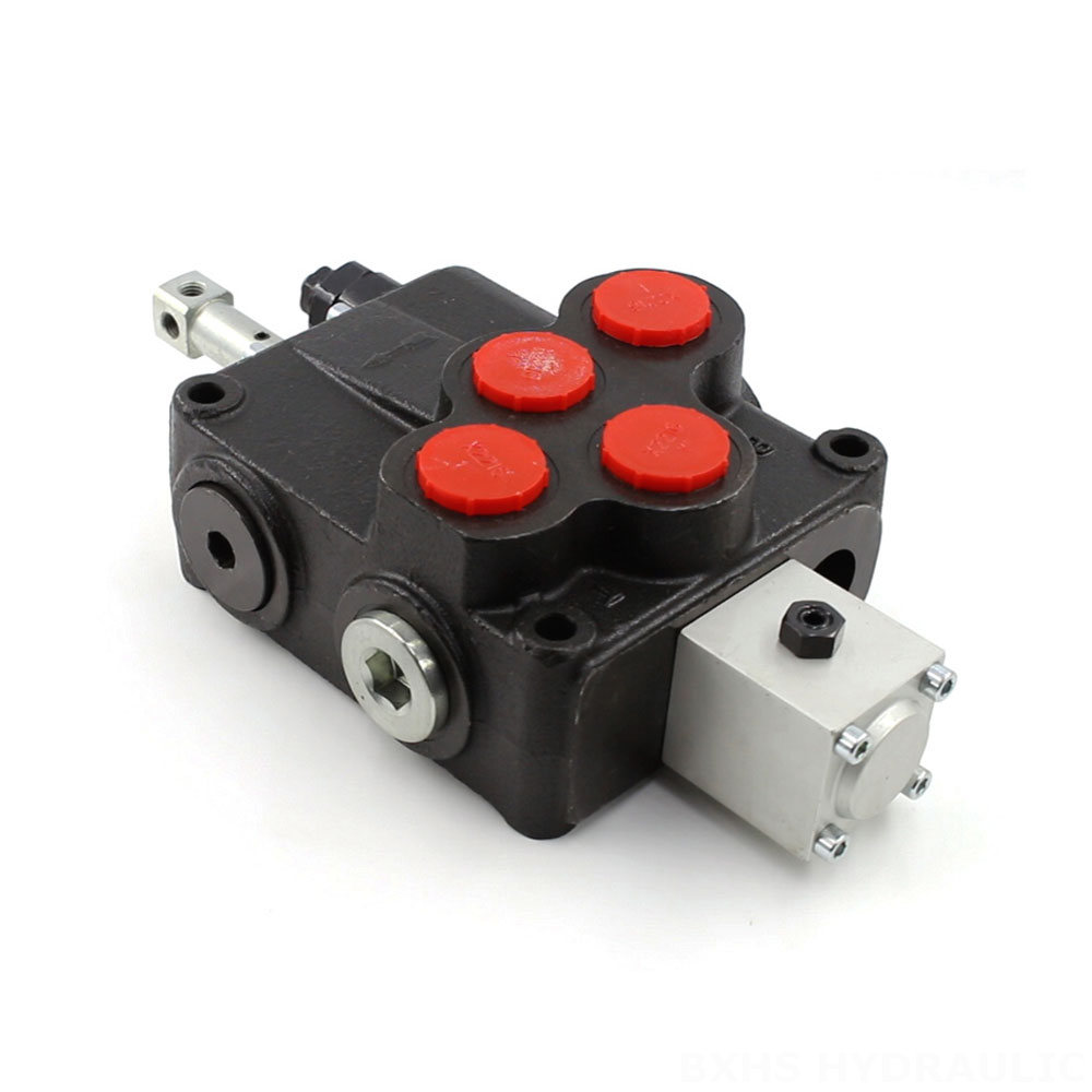 SD18 Manual 1 Spool Monoblock Directional Valve image