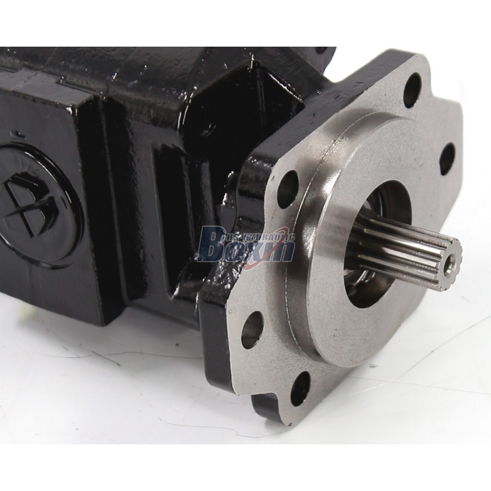 P21A646JEAL20-25 64.6 cc/rev 16 MPa (2320 psi) Hydraulic Gear Pump detail image