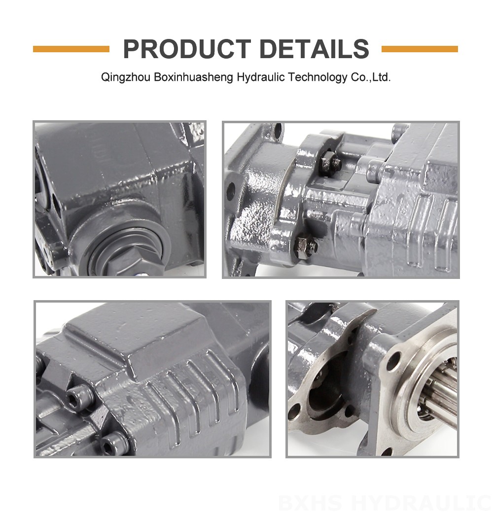BF110A-ZF1 110 cc/rev 20 MPa (2900 psi) Hydraulic Gear Pump detailed image