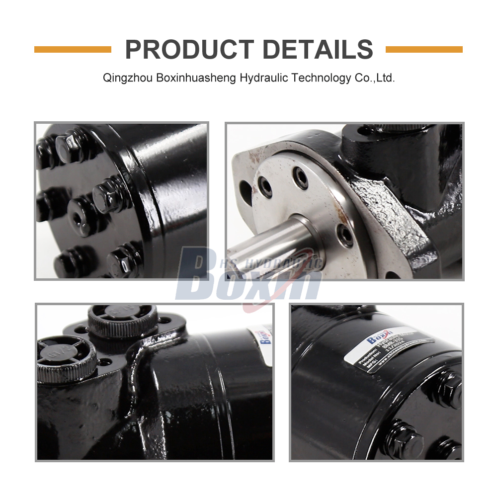 OEM ODM Custom BMR-315 Hydraulic Motor 315 cc/r Private Labeling detailed image