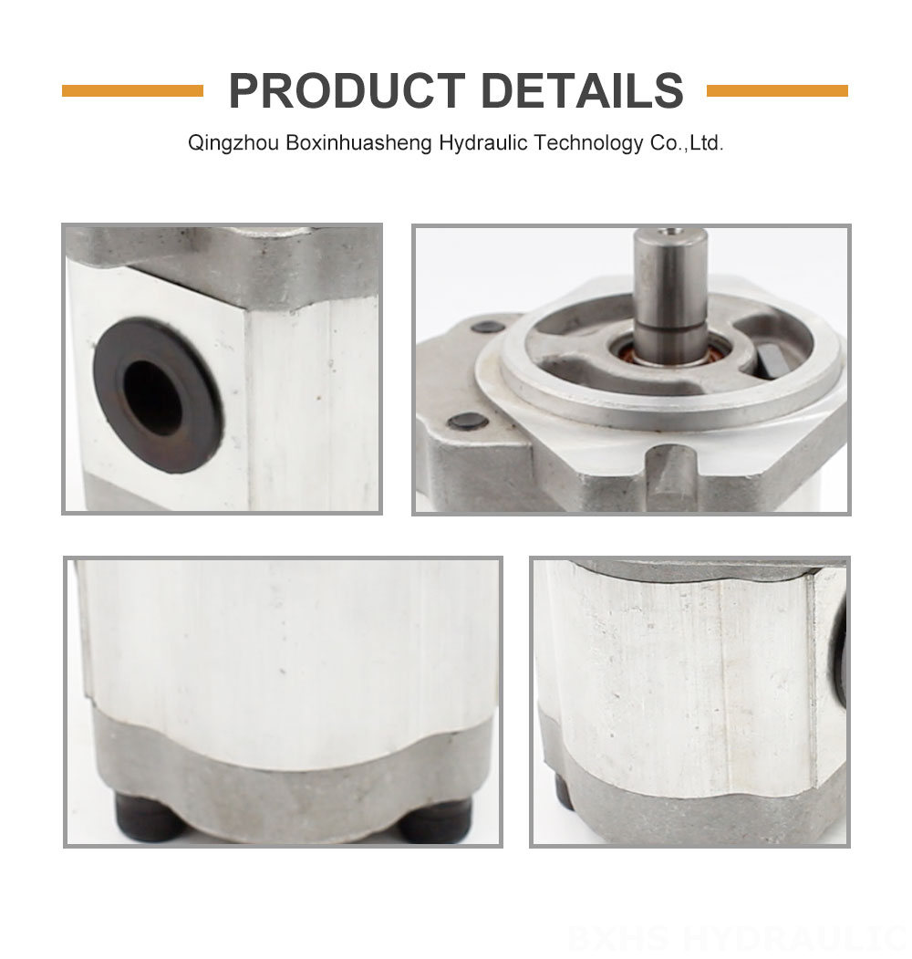 High Flow Gear Pump 16 cc/rev Hydraulic Gear Pump: Factory Direct & Customizable detailed image