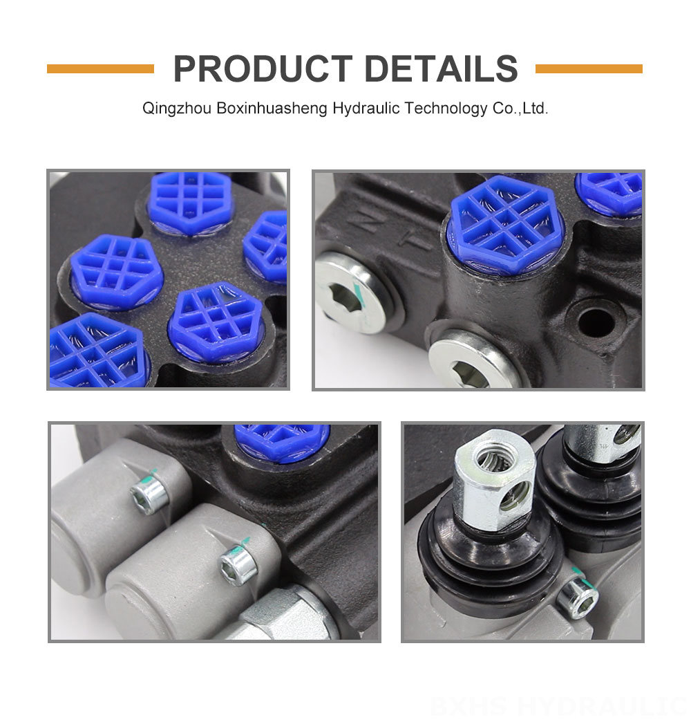 Steering Unit P40-G12-G38-OT 2-Spool Directional Valve | Factory Direct & Customizable detailed image