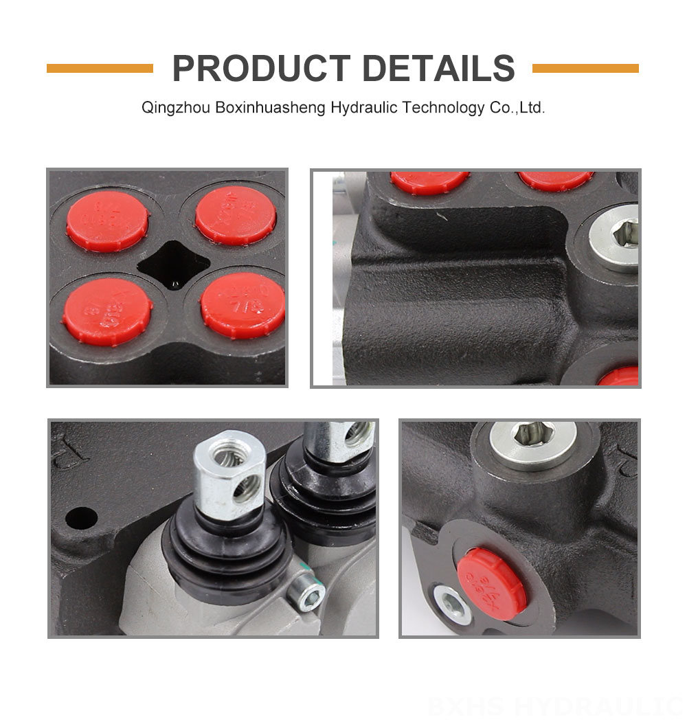 Customizable Hydraulic Valves: P80 Monoblock Series | OEM & ODM Solutions detailed image