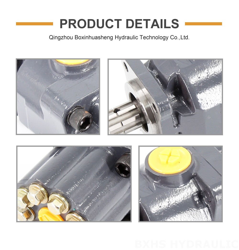 P9-80-H 80 cc/rev 20 MPa (2900 psi) Hydraulic Piston Pump detailed image