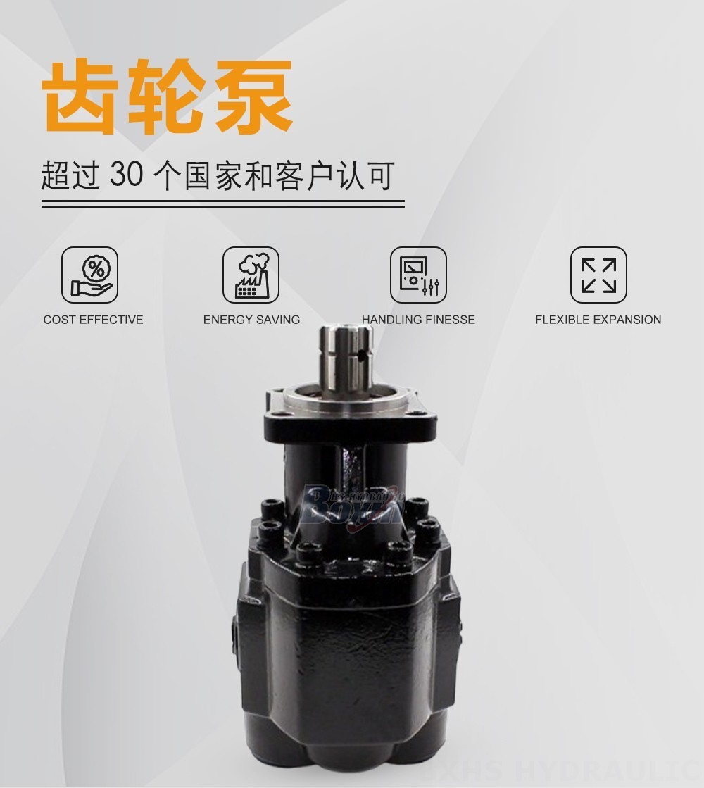 CBHST1-ISO-100 100 毫升/转 20 MPa (2900 psi) 液压齿轮泵