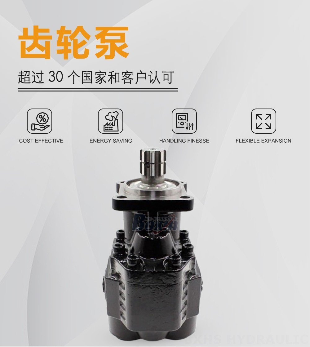 CBHST1-ISO-90 90 毫升/转 22 MPa (3190 psi) 液压齿轮泵