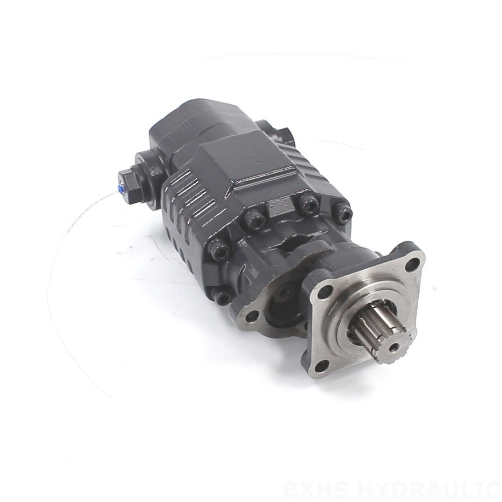 BF110A-ZF1 Hydraulic Gear Pump 20 MPa (2900 psi) for Diverse Needs image