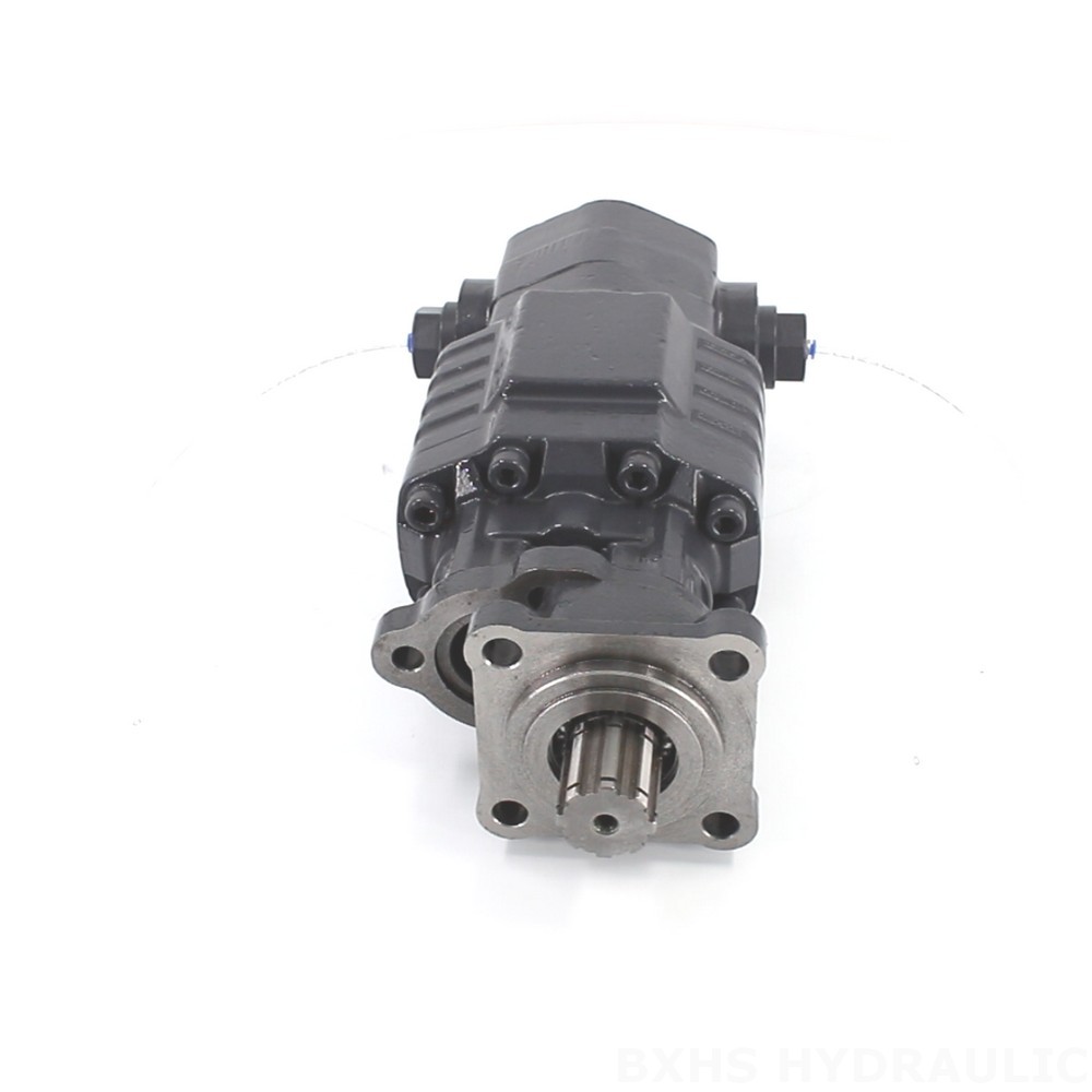 BF110A-ZF1 Hydraulic Gear Pump - Manufacturer Direct Global Supply image
