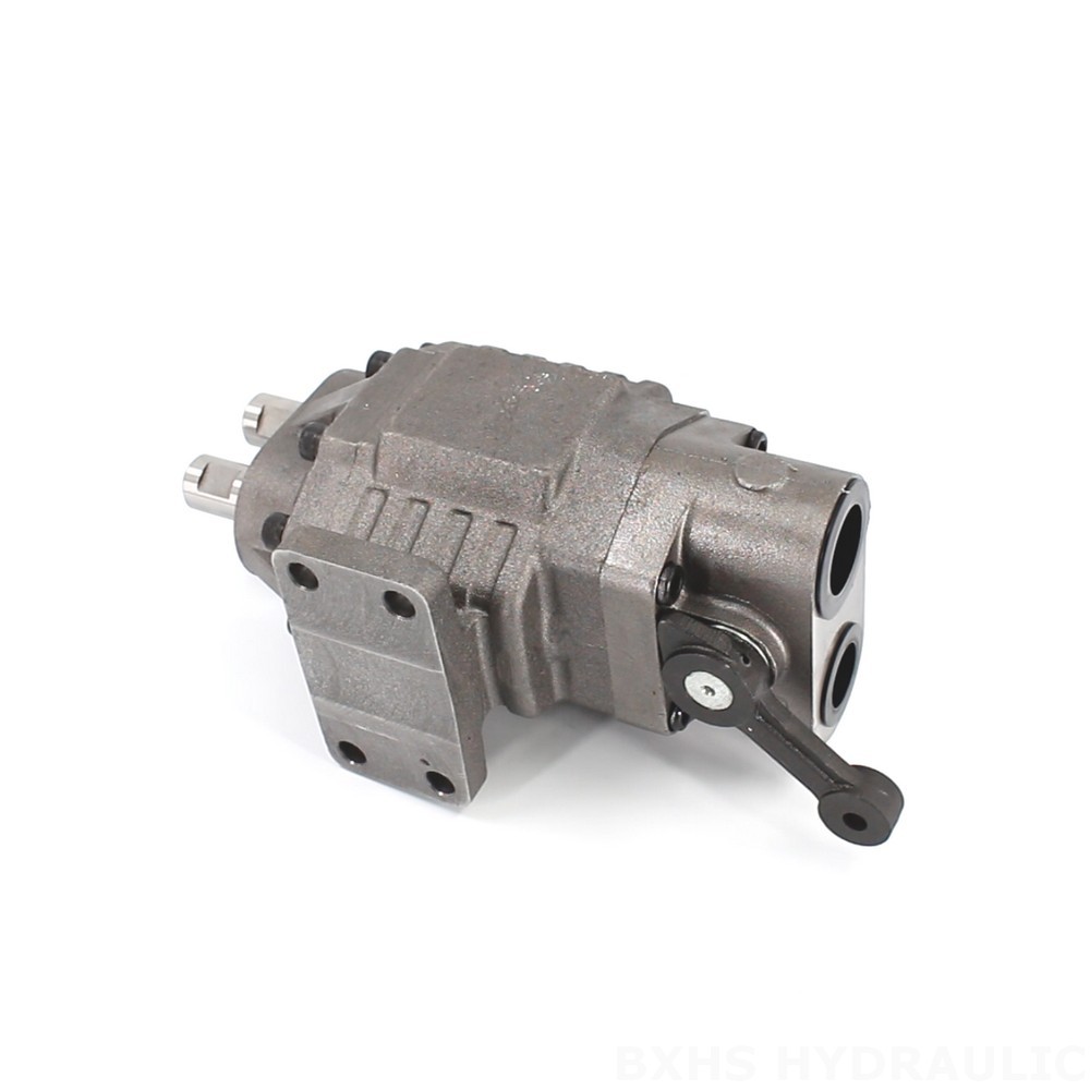 BF110M Hydraulic Gear Pump: Robust 20 MPa (2900 psi) Design image
