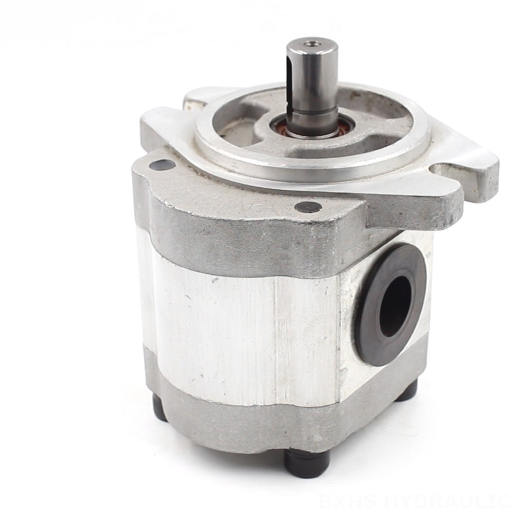 Double Gear Oil Pump Industrial 6 cc/rev Gear Pump | Reliable & Efficient image