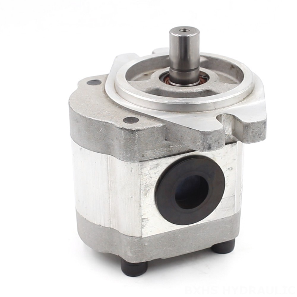 Triplex Plunger Pump Heavy Duty 6 cc/rev Hydraulic Gear Pump | Made in China image