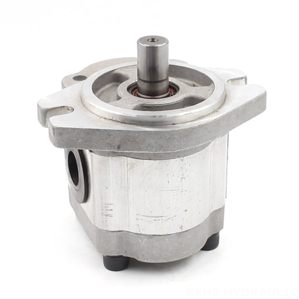 Bi Rotational Pump Customizable 6 cc/rev Hydraulic Gear Pump: OEM & ODM Manufacturing image