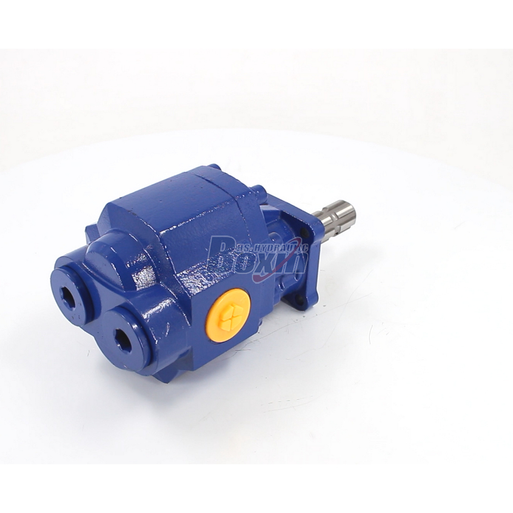 Custom OEM ODM Services for CBHST1-110-KZ 110 cc/rev Hydraulic Gear Pump Manufacturing image