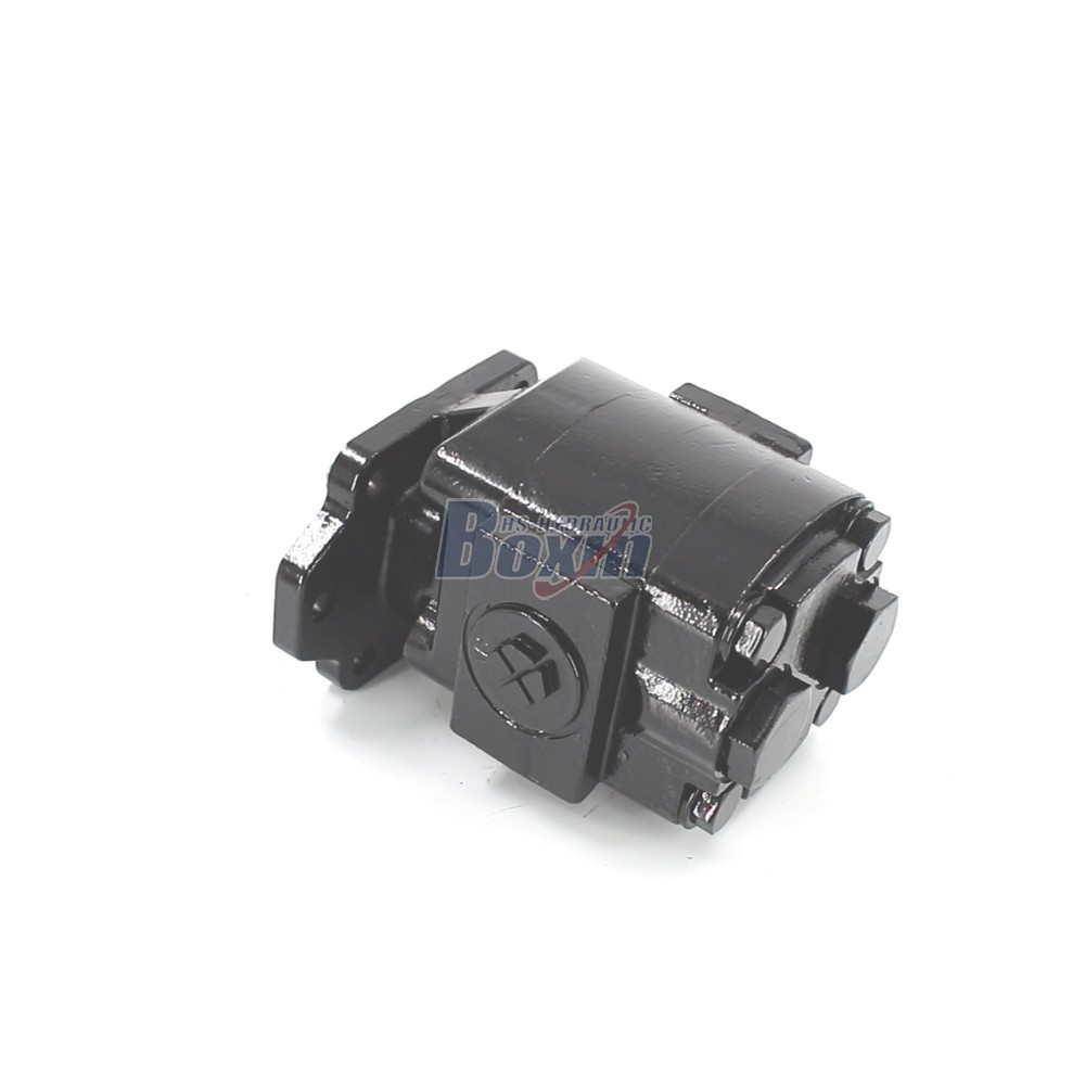 OEM ODM Custom Service for P21A646JEAL20-25 64.6 cc/rev Hydraulic Gear Pump Manufacturing image