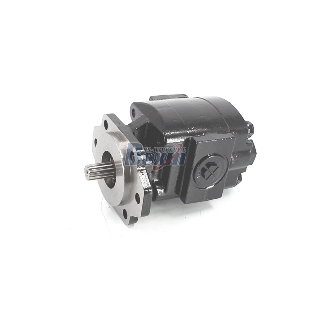 Global Partnership Opportunity for P21A646JEAL20-25 64.6 cc/rev Hydraulic Gear Pump Distribution image