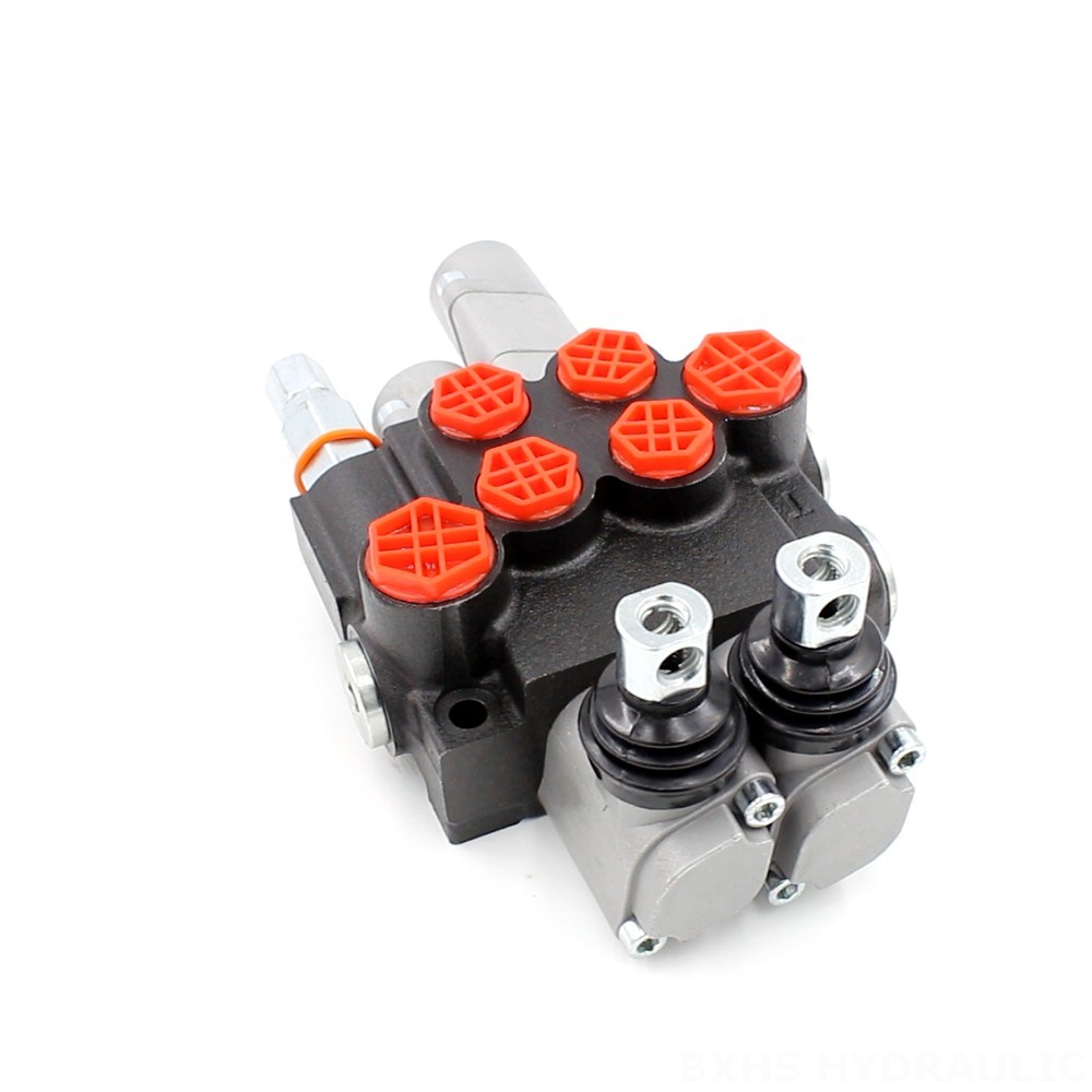 Integral Hydraulic Valve Premium Hydraulic Components: P40-AQF-G38-G12 from Top Manufacturers image