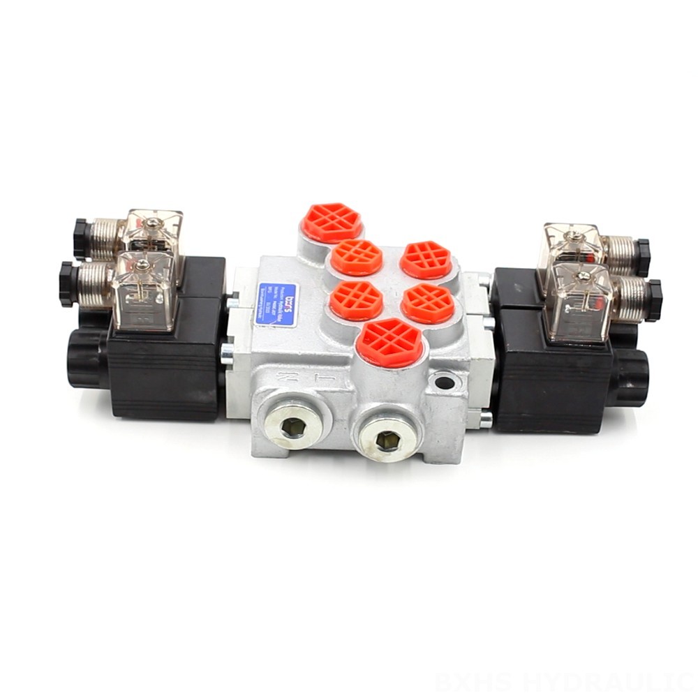 Manufacturer of P40-DKL Monoblock Valves: Wholesale & Customization Available image