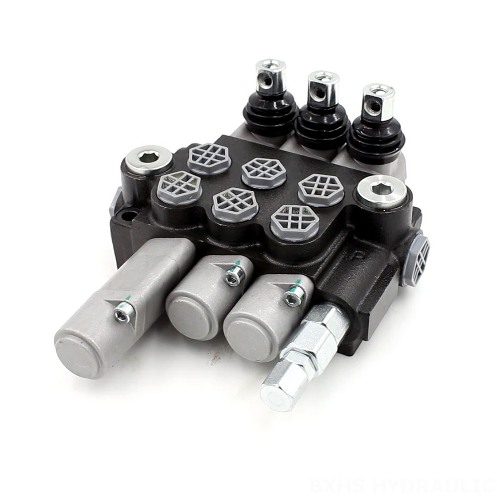 Diverter Valve 2 Way Hydraulic P40-G12-G38 Directional Valve | Hydraulic Component Manufacturer image