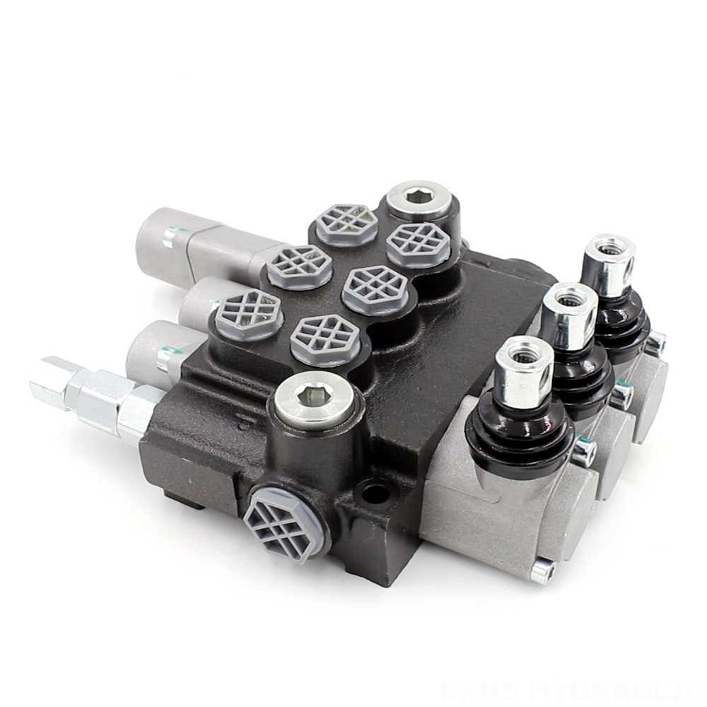 Electric Hydraulic Valve Control P40-G12-G38 Manual Monoblock Valve | Customize & Private Label image