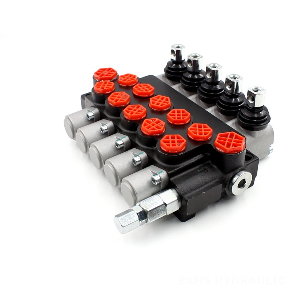 P40-G12-G38 Monoblock Directional Valve | Private Label & OEM Manufacturing image