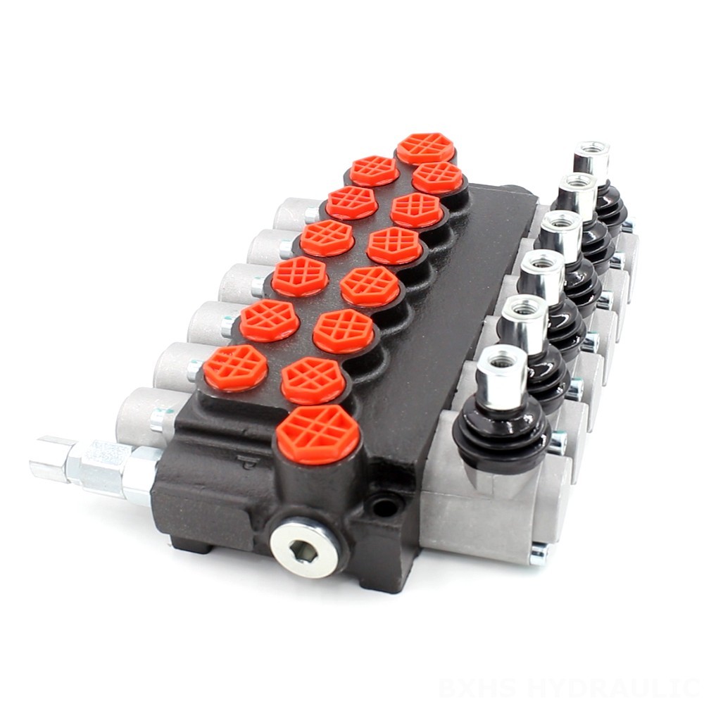 Manual Monoblock Directional Valve - P40-G12-G38 Series | Wholesale & OEM image