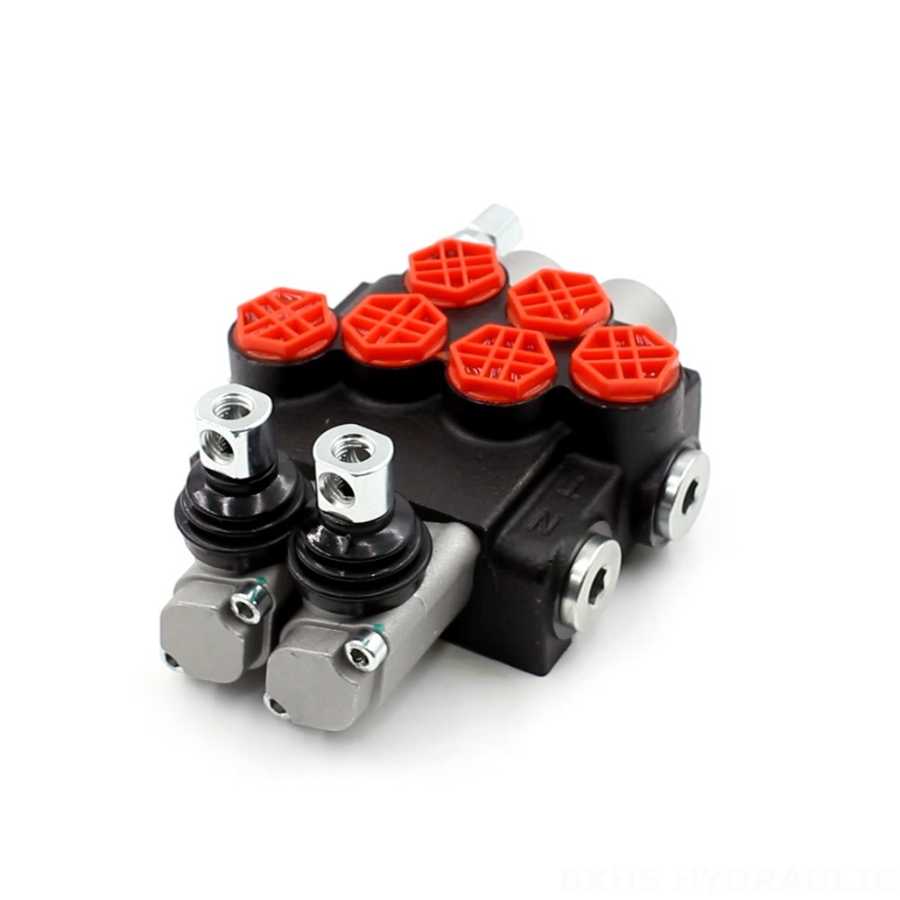 P40-G12 Manual 2 Spool Monoblock Directional Valve | Manufacturer & Global Supplier image