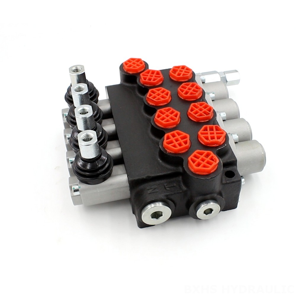 Hydraulic Directional Control Valve P40-G38 | Manufacturer & Global Supplier image