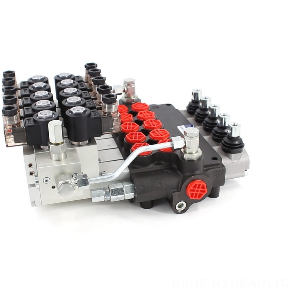 P80 Monoblock Directional Valve: Manufacturer Direct Supply, Bulk Discounts Available image