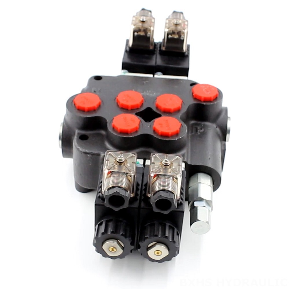 Partner with Us: Distribute the P80 Solenoid 2 Spool Monoblock Directional Valve image