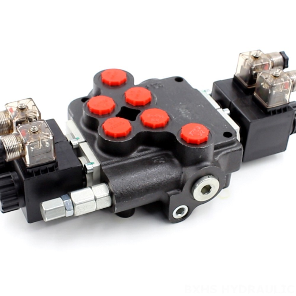 P80 Solenoid 2 Spool Monoblock Directional Valve | Manufacturer & Global Supplier image