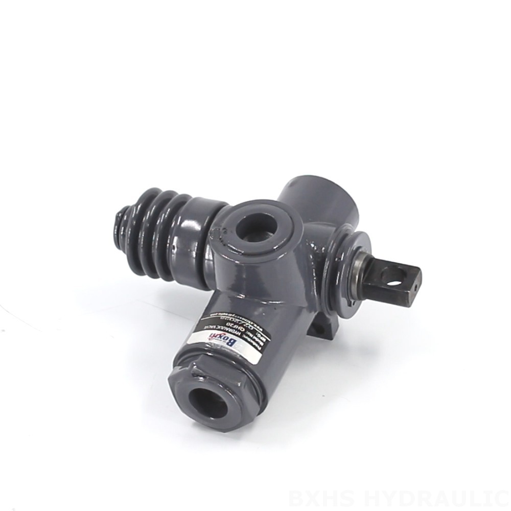 QHF20 Manual 1 Spool Monoblock Directional Valve: OEM, ODM, and Custom Manufacturing Services image