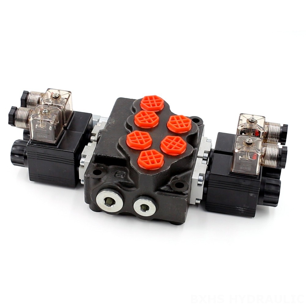 Hydraulic Valve Monoblock Directional Valve with 2 Spools - SD5 Series | Wholesale & OEM image