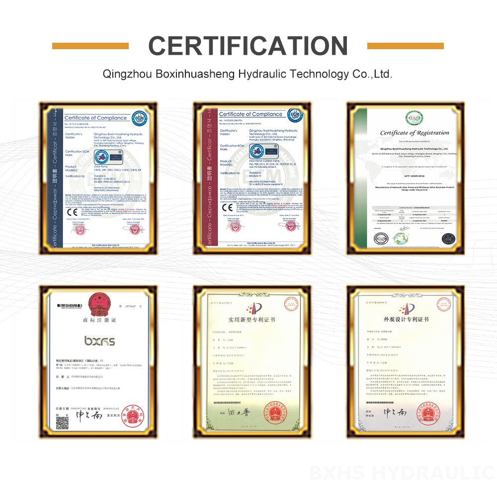 CBHS-FL-316 16 cc/rev Hydraulic Gear Pump certification image