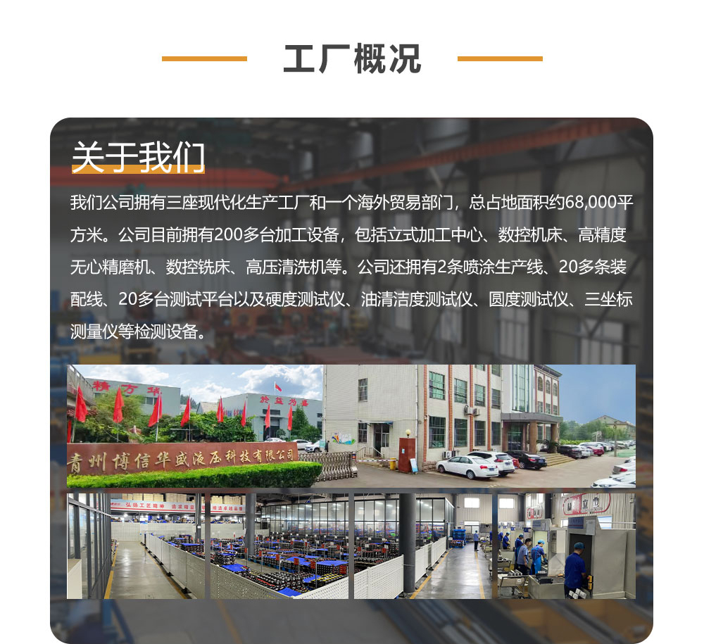 BZZ1-E80AS 80 ml/r 6 L/min 转向器