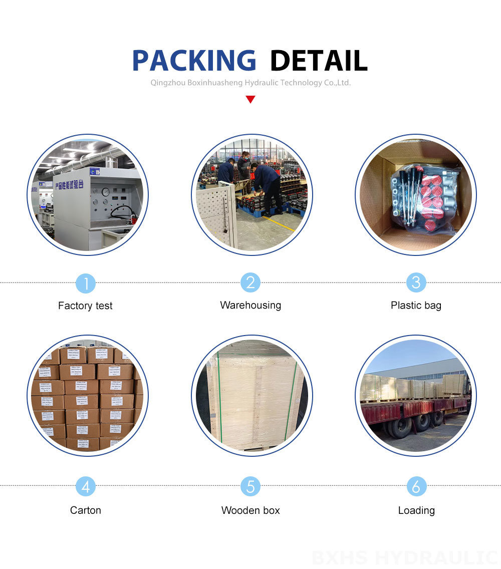 Monoblock Directional Valve | P40 Series | Factory Direct & Global Supply packing image