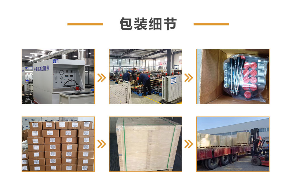 BZZ1-E80AS 80 ml/r 6 L/min 转向器